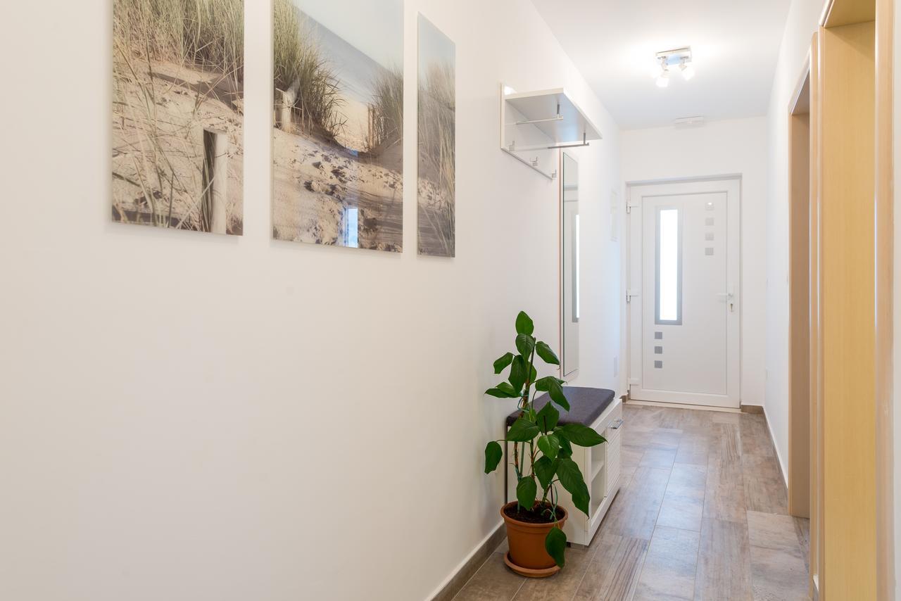 Apartment Helen Deluxe ドゥブロブニク エクステリア 写真